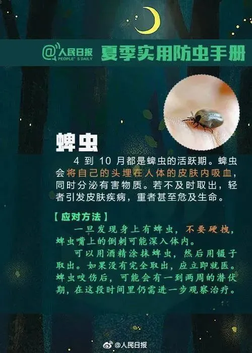 马航真相太吓人（马航真相大白,渔民亲眼看见） 第2张