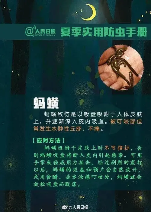 马航真相太吓人（马航真相大白,渔民亲眼看见） 第8张