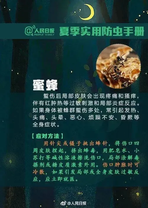 马航真相太吓人（马航真相大白,渔民亲眼看见） 第6张