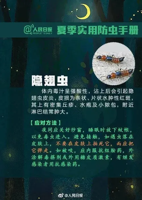 马航真相太吓人（马航真相大白,渔民亲眼看见） 第3张