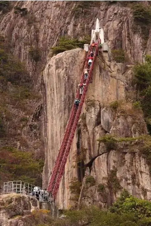 世界上最恐怖的一支枪（世界上最恐怖的一支枪,狙击枪,狙击枪） 第9张