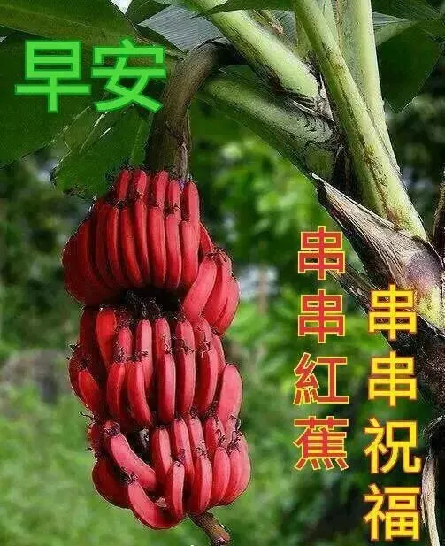 朋友圈问候大家早上好快乐的祝福语图片 好看的早上好动态祝福图片表情大全-大家早上好问侯语句