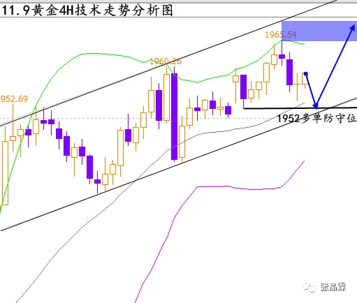 张晶霖：11.9拜登胜选能否助涨黄金？比特币行情走势分析插图1