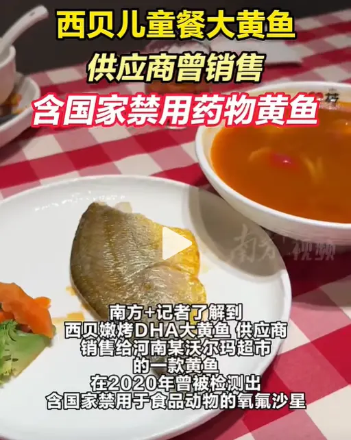 活在“信息茧房”里的贾国龙，凭一己之力把西贝拖进深渊_https://www.izongheng.net_快讯_第2张