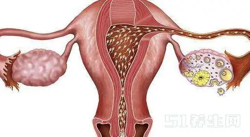 深度揭秘（恶搞让验孕棒显示怀孕）验孕棒的制作方法 第3张