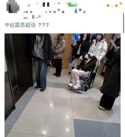 赵露思因病停工引担忧，从普通女孩到顶流小花，26岁的她是如何一路逆袭的？