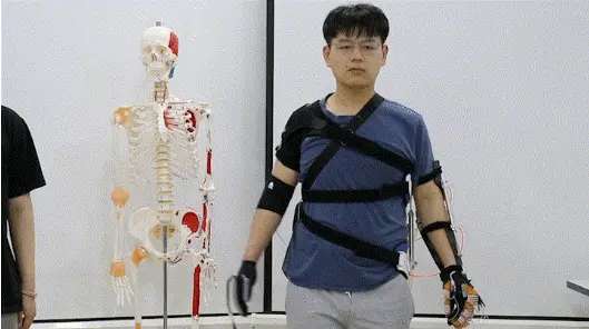 ÷ƶһڻΪIoT ɭ߿ЧԤϵͳ