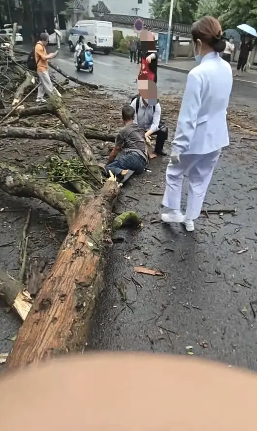 四川泸州行道树断裂砸伤3人,一男子伤势严重,家属:医院已放弃治疗了_快讯_第2张_纵横网 四川泸州行道树断裂砸伤3人,一男子伤势严重,家属:医院已放弃治疗了_https://www.izongheng.net_快讯_第2张