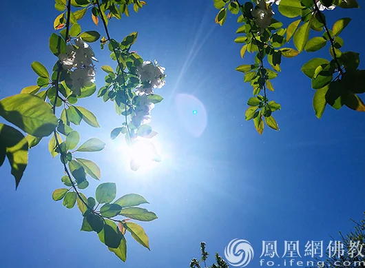 图片来源：凤凰网佛教文化 摄影：闫秀勇