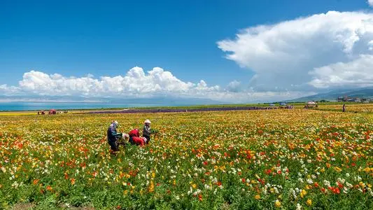 中国最大的湖（中国有几大淡水湖是哪个湖） 第2张