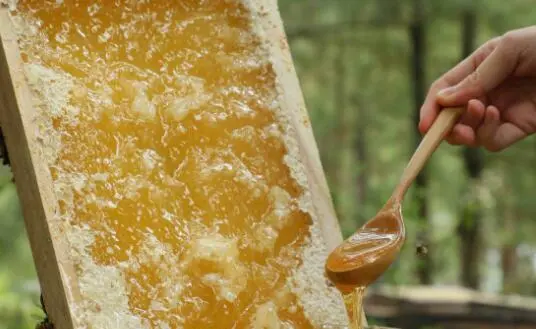 喝蜂蜜水的功效与作用?早晚喝蜂蜜水的作用与功效?（喝蜂蜜水是早上喝好还是晚上喝好呢）