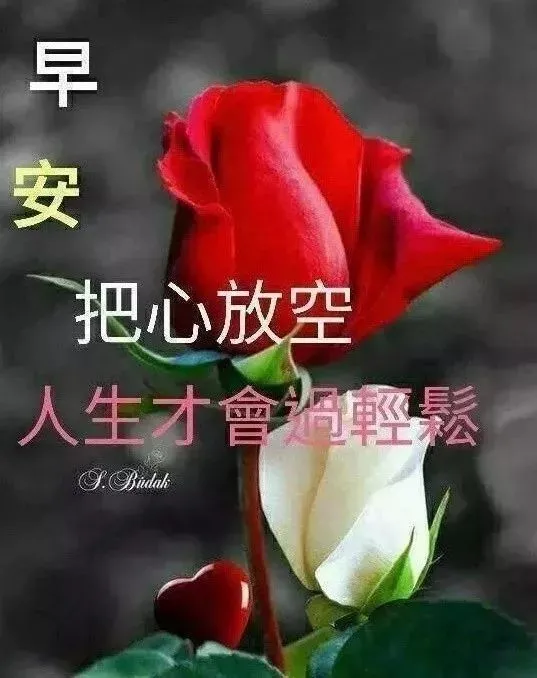 2019最新版漂亮早上好动态美图表情问候语，朋友圈早上好图片表情大全-早上好动态的图