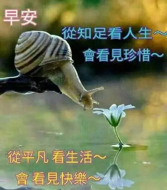 2019清晨早上好短信祝福关心的话 最美清晨问候语录图片最新版，-清晨最暖心的早安祝福语短句