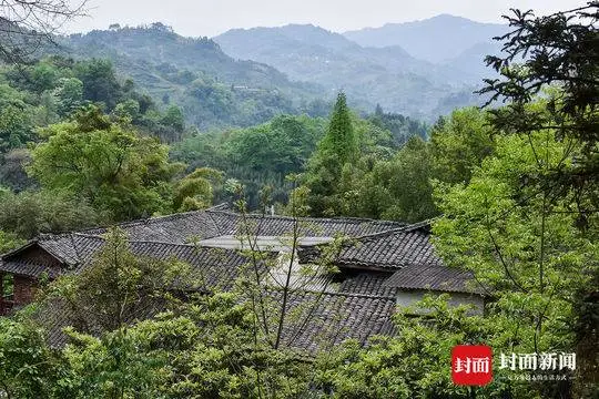 四川发现一条幼龙（山海经异兽录） 第3张