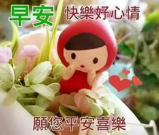 最新版早上好漂亮表情问候语录大全，朋友圈问候大家早上好暖心祝福句子-早上问候语的表情图