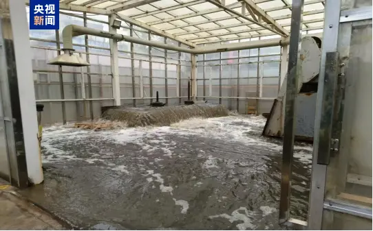 △2025年4月3日，督察组暗查发现，吴忠市第一污水处理厂厂区污水溢流积存。