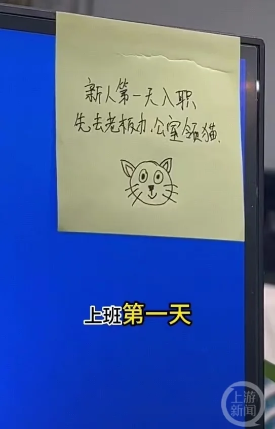 重庆一公司回应“新员工可领猫”：不是每个人都能分到
