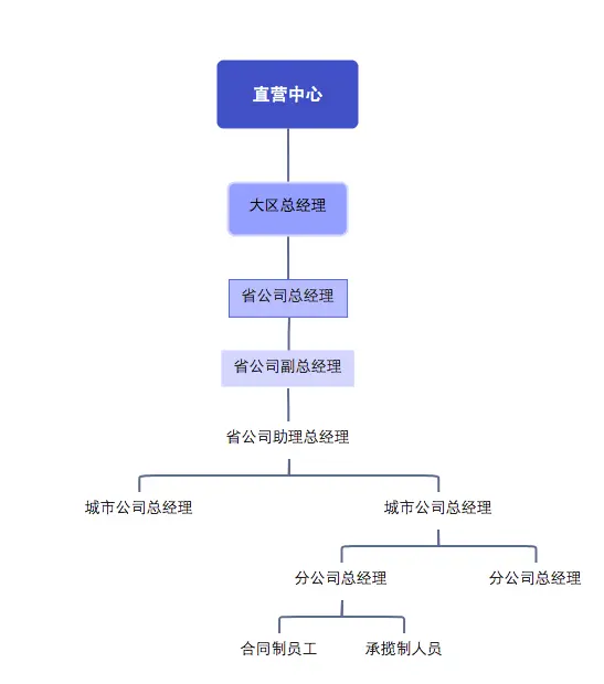 图说：凤凰网《风暴眼》根据公司PPT资料及受访者提供信息整理的直营线组织架构