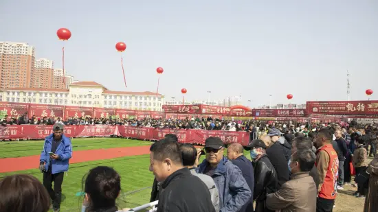 300只中国牧羊犬亮相 首届中国牧羊犬春季博览会暨中国牧羊犬协会成立仪式举行（中国牧羊犬是什么意思）