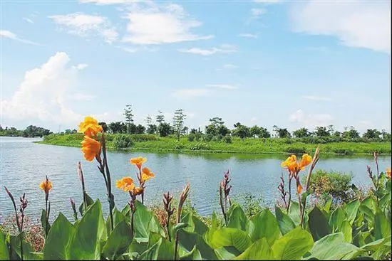 冬至是什么意思？-夏至和冬至指的是什么意思