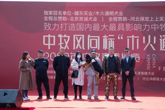 300只中国牧羊犬亮相 首届中国牧羊犬春季博览会暨中国牧羊犬协会成立仪式举行（中国牧羊犬是什么意思）