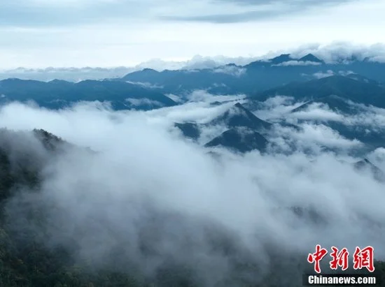 11月22日，江西铅山，一场降雨过后的武夷山脉云雾缭绕，山峰在云雾之中若隐若现。