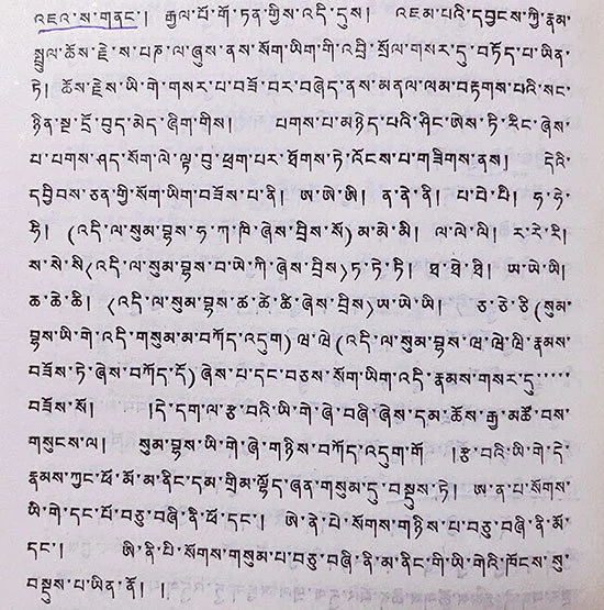 八思巴-噶尔哇·阿旺桑波：八思巴文在中华民族共同体发展路向和演进格局中发挥重大作用