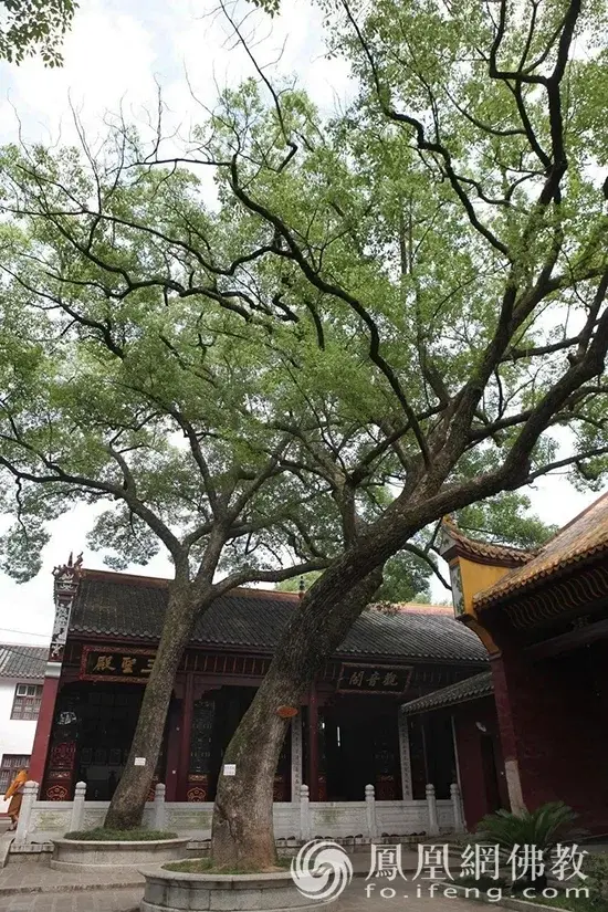 述春秋、交高僧、创学派：湖湘学派奠基人胡安国与南岳的佛教因缘