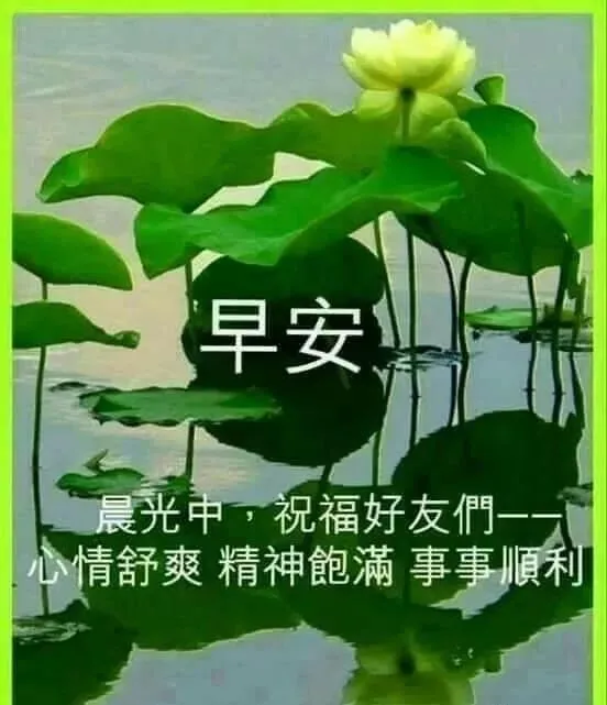 幸福暖心的清晨早上好祝福动态图片 早安问候语正能量慰问朋友句子-最新早上好动态图片大全 祝福 动感