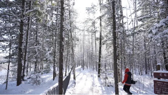 图源@长白山发布