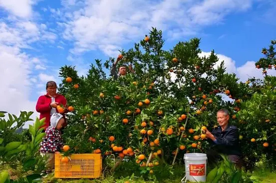 湖南邵陽 ：奮進的腳步鏗鏘有力