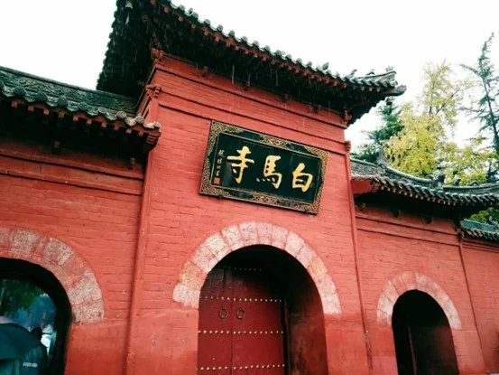 从龙门石窟“活”了到白马寺“破”圈，看绝世双遗如何惊艳全球