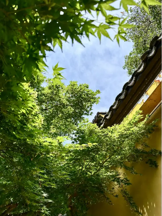 曲径通幽处，常熟兴福寺 | 吴越黄檗踪迹