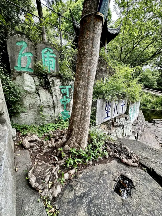 虎丘山上的钟声 | 吴越黄檗踪迹