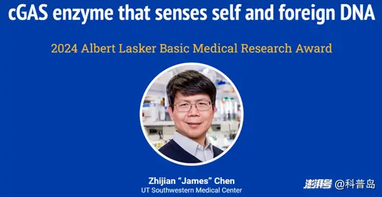 ͼƬԴLasker foundation