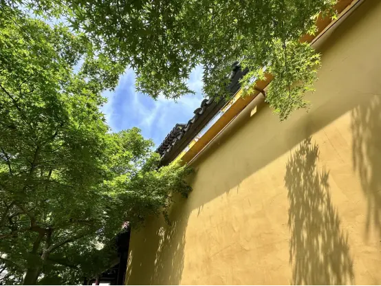曲径通幽处，常熟兴福寺 | 吴越黄檗踪迹