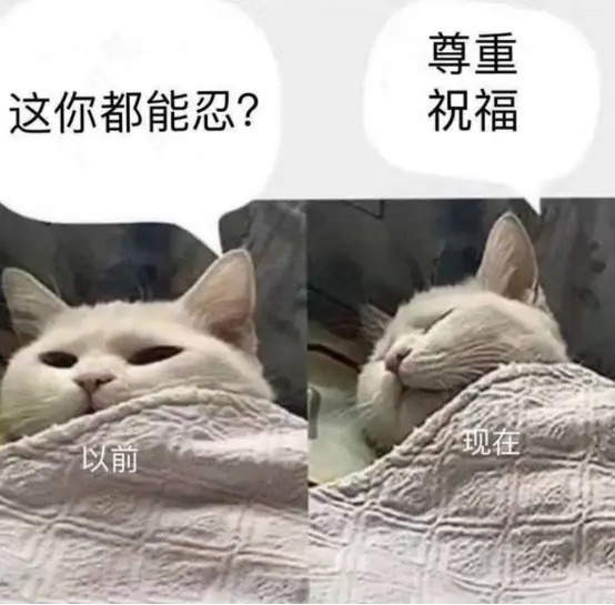 广末凉子的出轨剧情越来越离谱了（广末凉子婚姻）