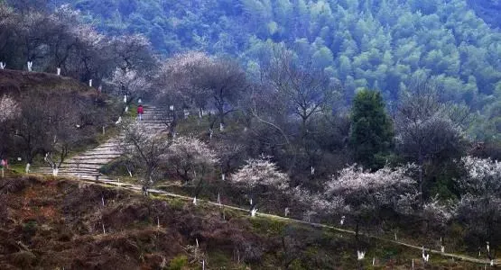 大余是哪个省的？已传疯，大余人都转起来！（大余县是江西哪里）