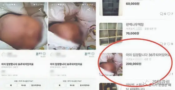 韩网标价售卖婴儿、女性、残疾人！发布22万个儿童色情视频无人管…插图3