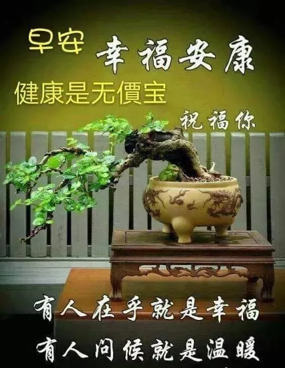 2019清晨早上好短信祝福关心的话 最美清晨问候语录图片最新版，-清晨最暖心的早安祝福语短句