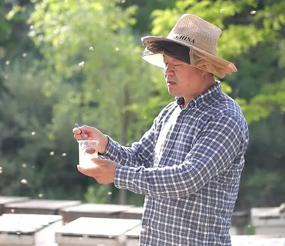 脆皮蜂蜜蛋糕的做法?蜂蜜脆皮小蛋糕的做法?（蜂蜜脆皮蛋糕的热量）