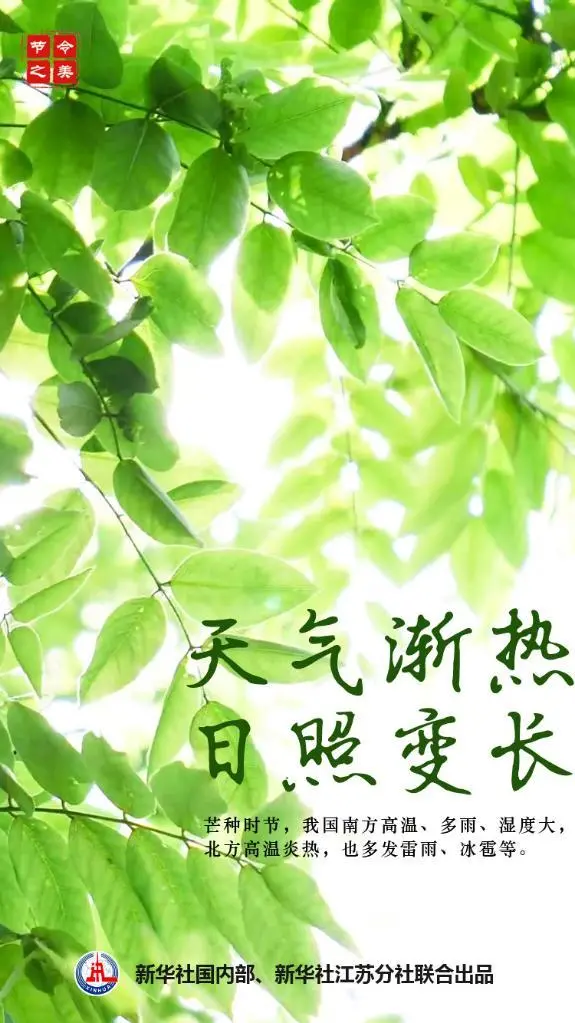 芒种芒种，忙收忙种（芒种芒种忙收忙种写的是夏天吗）
