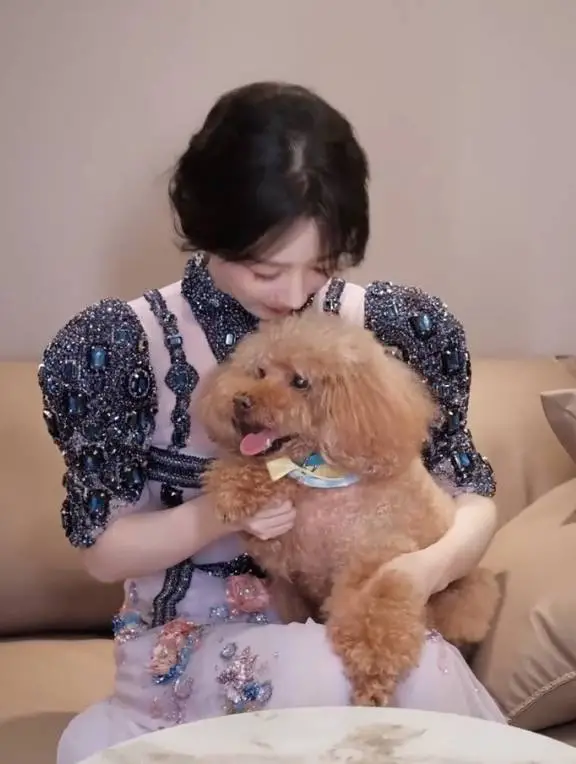 杨紫亲吻宠物狗PiuPiu。