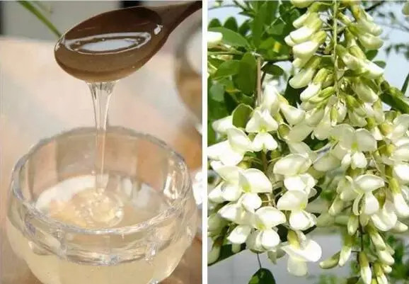 传统蜂蜜鸡蛋糕的做法，蜂蜜小蛋糕的做法（鸡蛋蜂蜜小蛋糕的做法大全）