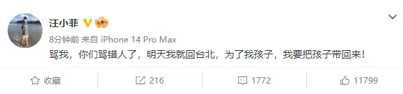 大S发声明：孩子们期待明天见到爸爸