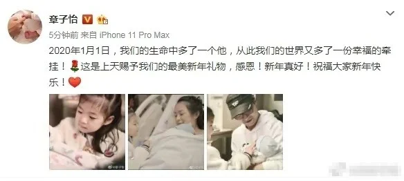 曝章子怡汪峰离婚子女抚养权划分，网友：章子怡啥时候有儿子？