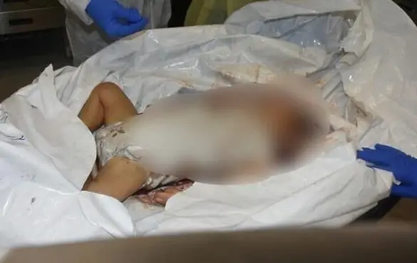 以色列公布3张婴儿被屠杀照片，布林肯表态，哈马斯曾否认
