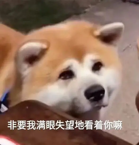 想用脑筋急转弯，开发智力？那你是开了个寂寞-开发脑洞是什么意思
