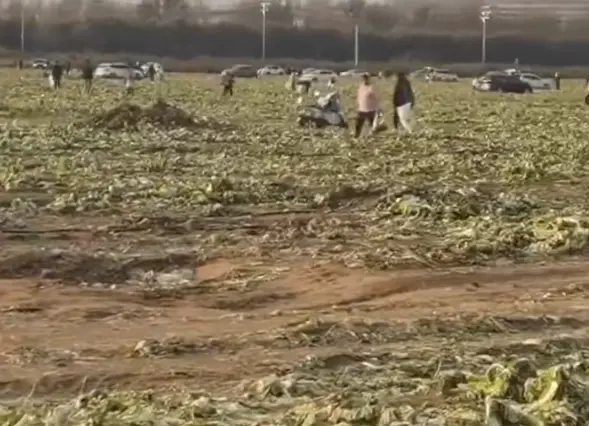 △网络视频截图