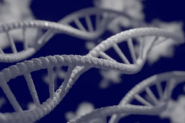 打开计算新大门！DNA分子计算机突破2纳米半导体工艺极限